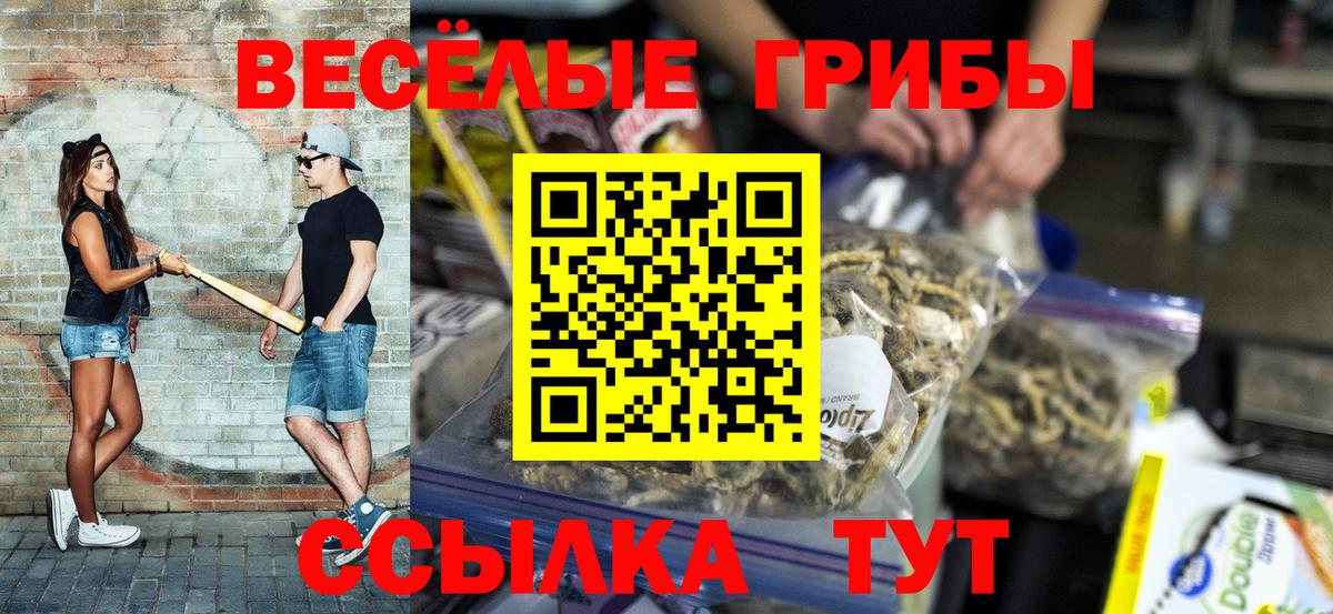 Псилоцибиновые грибы прущие грибы Михайловка